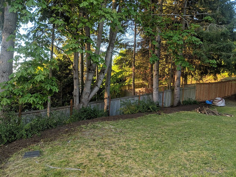 Photograph from Sunrise Landscaping Services's current website
